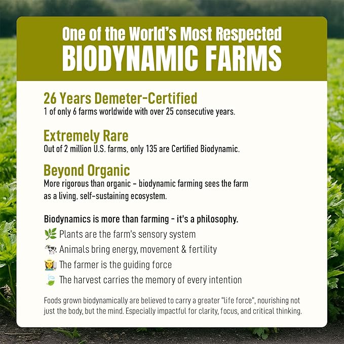 High‑Polyphenol Ashitaba Tea Blend – Demeter Certified Biodynamic U.S. Organic - Image 3