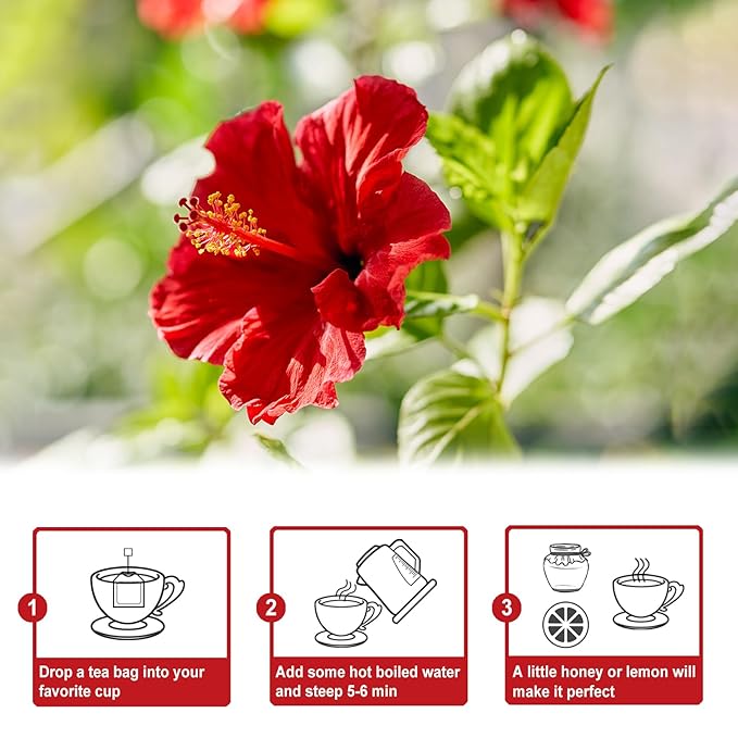 TEARELAE - Hibiscus Tea Bags - 2g x 80 Count - 100% Pure Hibiscus Flowers - - Image 6