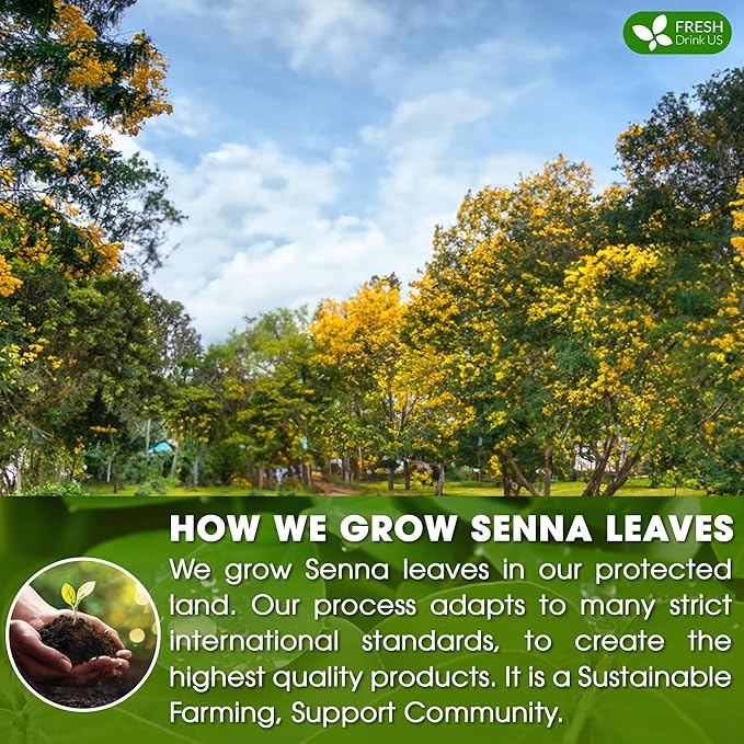 FreshDrinkUS, Premium 75 Senna Leaf Tea Bags, 100% Natural & Pure from Senna - Image 5