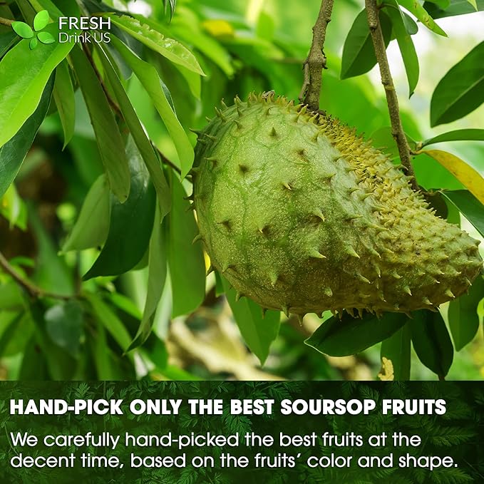 FreshDrinkUS, Premium 1oz Soursop Fruit Powder, 100% Natural and Pure from - Image 8