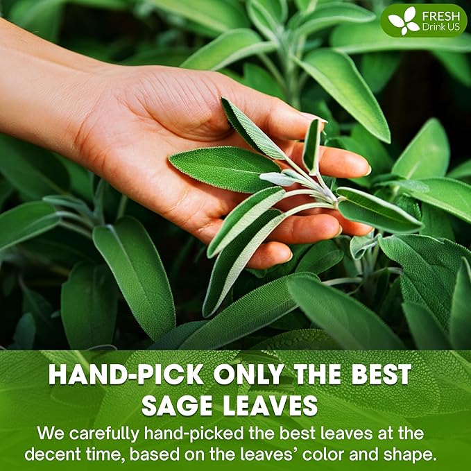 FreshDrinkUS, Sage Leaf Powder 8oz – Premium Culinary Herb, Pure Ground Sage - Image 6