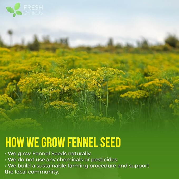 FreshDrinkUS, Premium 200 Fennel Tea Bags, 100% Natural & Pure from Fennel - Image 5