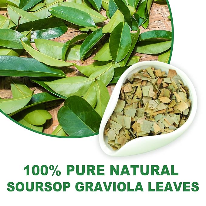 TEARELAE - Soursop Leaves Tea - 1.5g x 50 Count - 100% Pure Soursop Graviola - Image 2