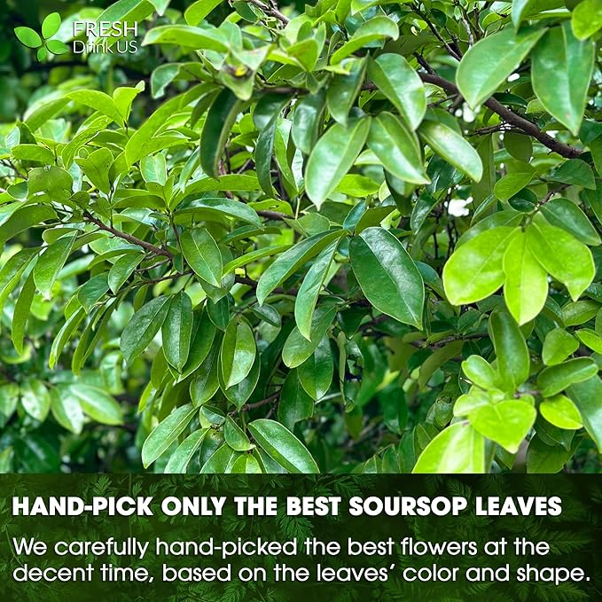 4.5oz Premium Soursop Leaf Powder – 100% Pure & Natural | Graviola Leaves - Image 8