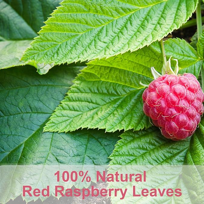 TEARELAE - Raspberry Leaf Tea - 1.5g x 60 Count - Premium Red Raspberry Leaves - Image 2