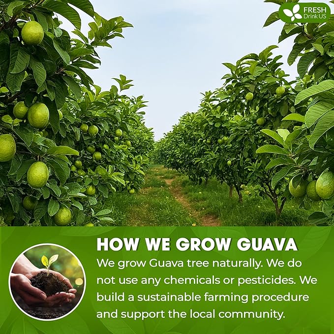 Premium 1.1oz Guava Leaf Pure Powder | Supports Stronger Digestion, Blood Sugar - Image 4