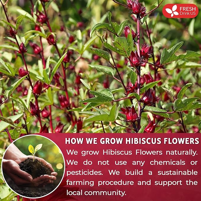 FreshDrinkUS, Premium 40oz Hibiscus Flower Powder, 100% Natural and Pure from - Image 5