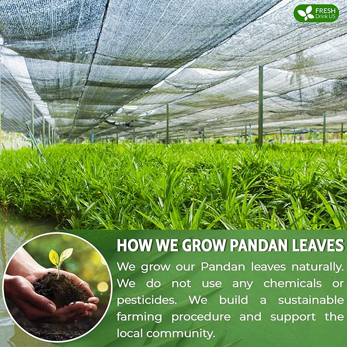 FreshDrinkUS, Premium 1.3oz Pandan Leaf Powder, 100% Natural and Pure from - Image 5