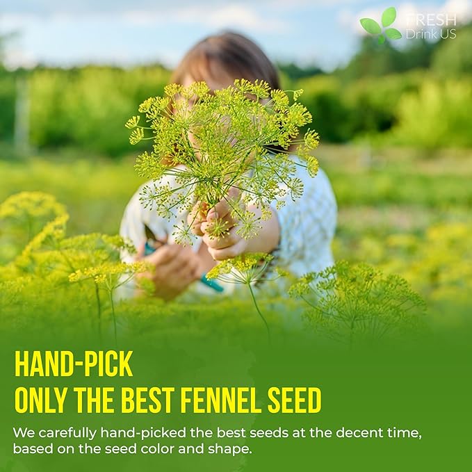 FreshDrinkUS, Premium 55 Fennel Tea Bags, 100% Natural & Pure from Fennel - Image 6