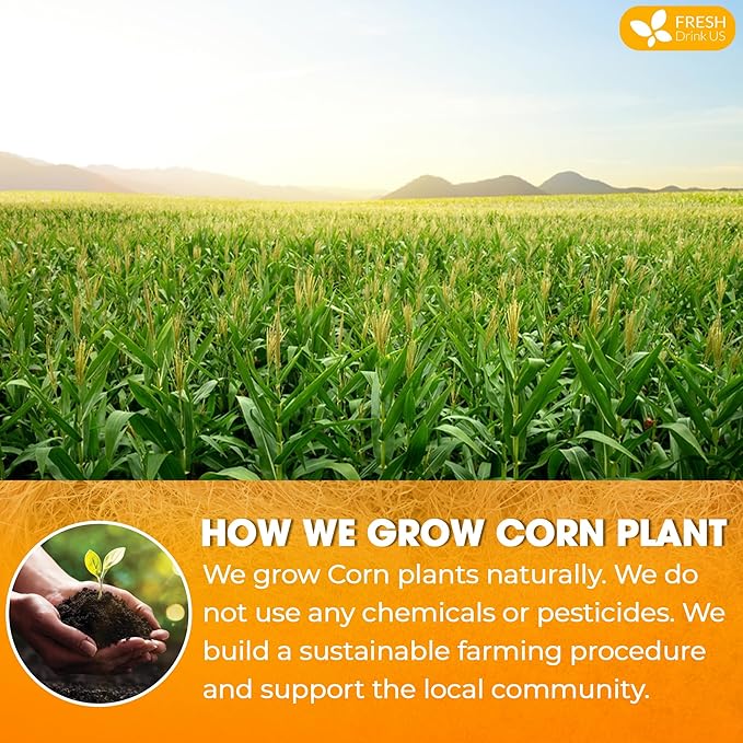 FreshDrinkUS, Corn Silk Powder 8oz – Premium Herbal Ingredient, Pure Ground - Image 4