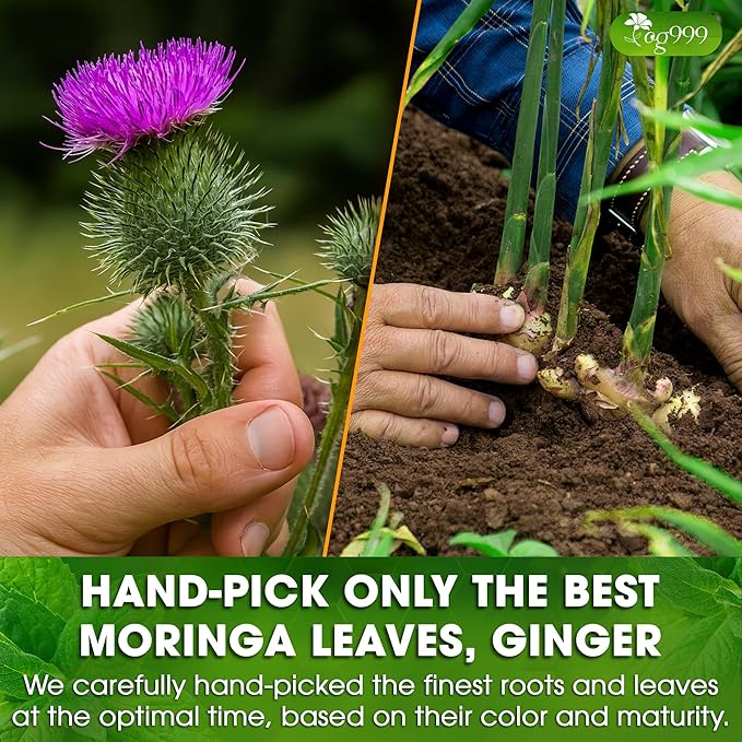 TOG999, Premium Stomach & Liver Herbal Tea – 60 Tea Bags – Milk Thistle Seed - Image 5