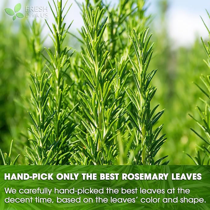FreshDrinkUS, 20 Rosemary Leaf Tea Bags, 100% Natural and Pure Rosemary Dried - Image 6
