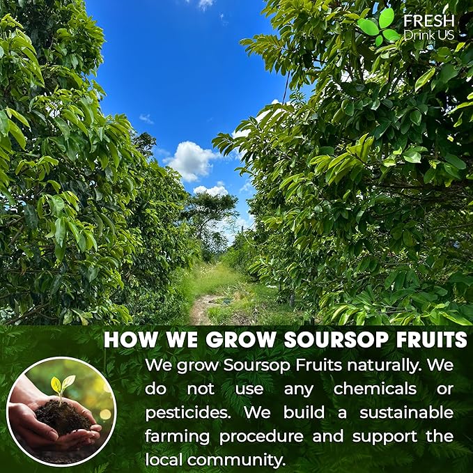 FreshDrinkUS, Premium 1oz Soursop Fruit Powder, 100% Natural and Pure from - Image 7