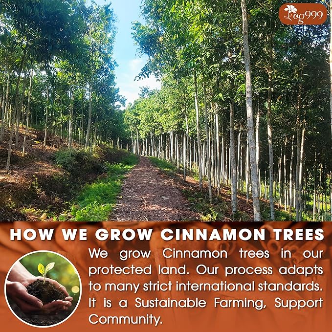 TOG999, Premium 135 Tea Bags - Image 5