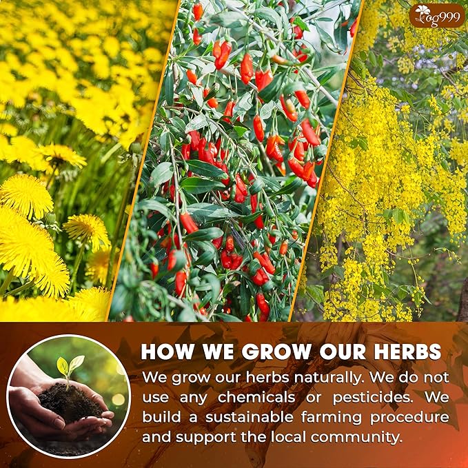 TOG999, Organic Dandelion Wolfberry Tea, 9 Herbal Ingredients, Traditional - Image 5