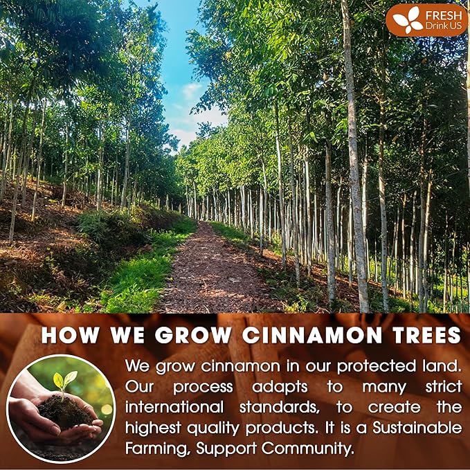 FreshDrinkUS, Premium 30+ Cinnamon Dried Sticks, Whole Sticks, 100% Natural & - Image 5