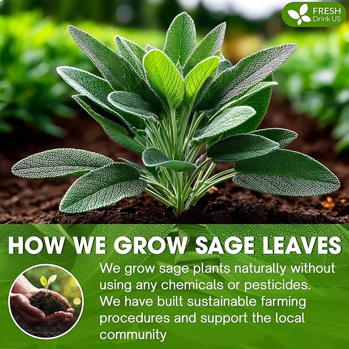 FreshDrinkUS, Sage Leaf Powder 8oz – Premium Culinary Herb, Pure Ground Sage - Image 5