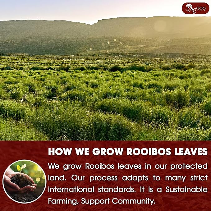 TOG999, 135 Premium Red Rooibos Tea Bags, 100% Natural & Pure from Rooibos Tea - Image 5