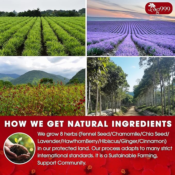 TOG999, Upgraded Pressure Balance Herbal Tea - Image 5