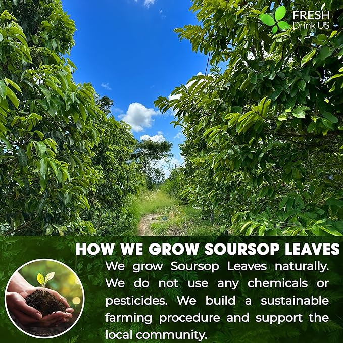 4.5oz Premium Soursop Leaf Powder – 100% Pure & Natural | Graviola Leaves - Image 7